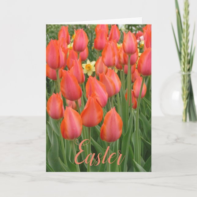 Easter Tulips Card (Front)