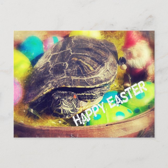 Easter Turtle Holiday Postcard (Front)