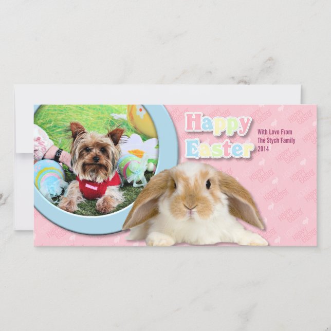 Easter - Yorkshire Terrier - Sassy Holiday Card (Front)