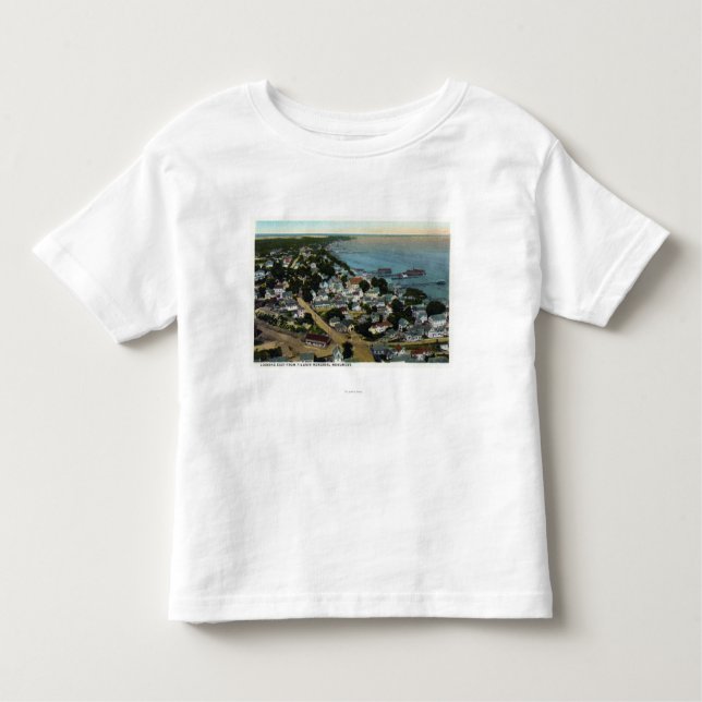 Eastern Aerial View of Town from Pilgrim Toddler T-Shirt (Front)