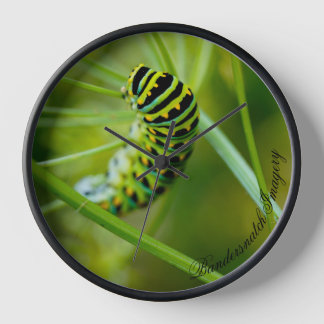 Eastern Black Swallowtail Caterpillar Clock