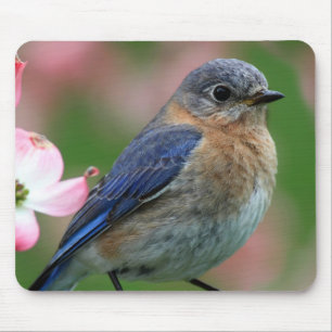 Eastern Blue Mouse Pad