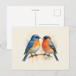 Eastern Bluebird and Bullfinch Birds  Postcard