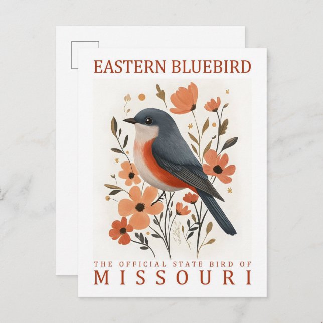 Eastern Bluebird Bird of Missouri USA Travel Postcard (Front/Back)