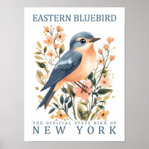 Eastern Bluebird Bird of New York USA Poster