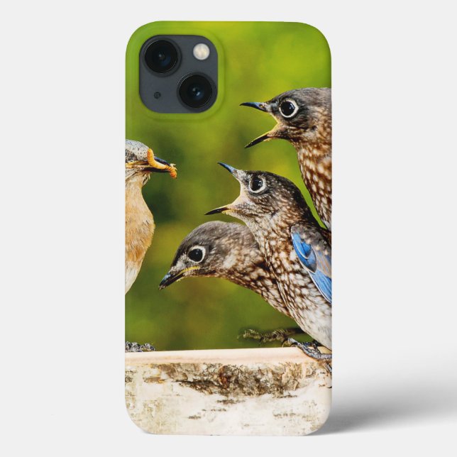 Eastern Bluebird Case-Mate iPhone Case (Back)