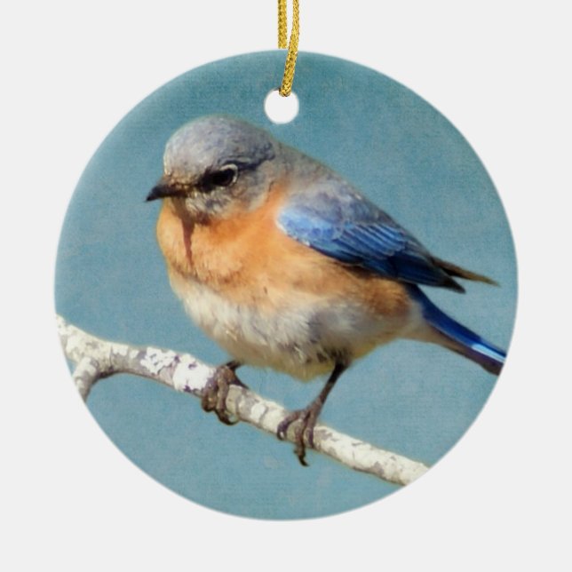 Eastern Bluebird Ceramic Ornament (Front)