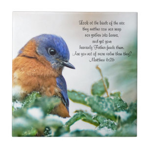 Eastern Bluebird Ceramic Photo Tile Matthew 6:26