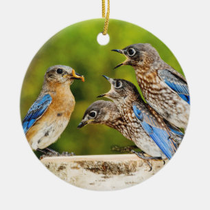 Eastern Bluebird Ceramic Tree Decoration