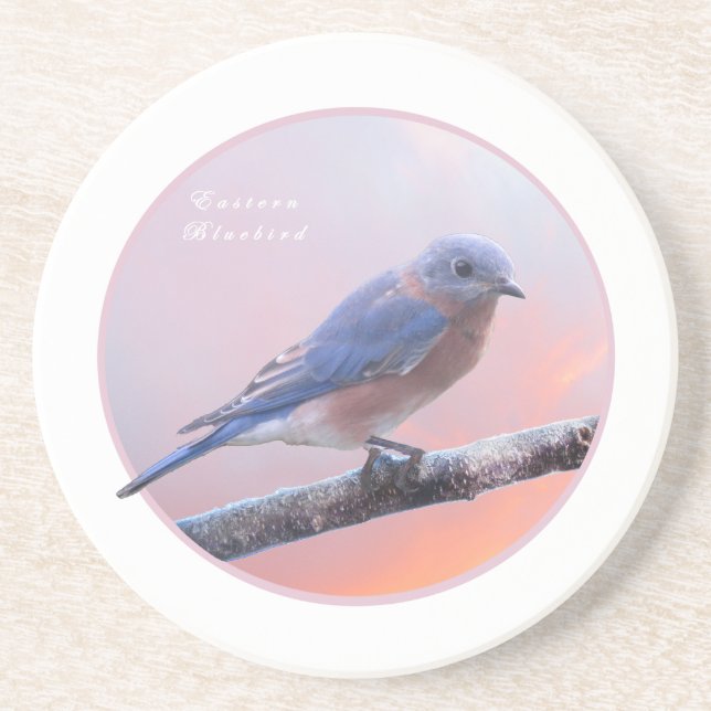 Eastern Bluebird Coaster (Front)