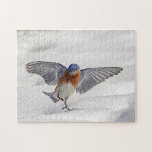 Eastern Bluebird dancing in the snow Jigsaw Puzzle