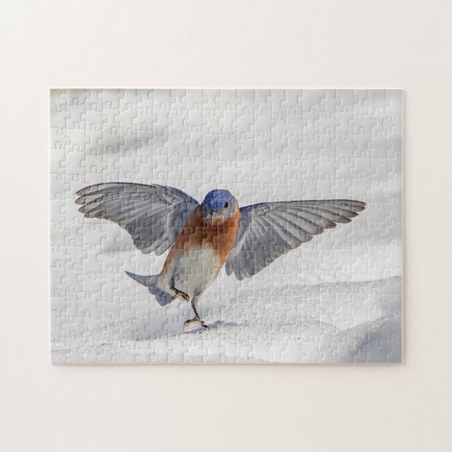 Eastern Bluebird dancing in the snow Jigsaw Puzzle (Horizontal)