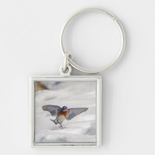 Eastern Bluebird dancing in the snow Key Ring