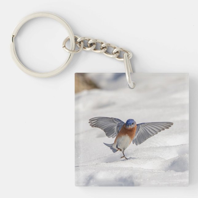 Eastern Bluebird dancing in the snow Key Ring (Front)