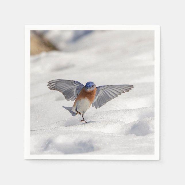 Eastern Bluebird dancing in the snow Napkin (Front)