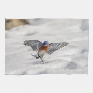 Eastern Bluebird dancing in the snow Tea Towel
