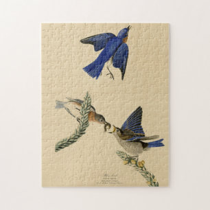 Eastern Bluebird from Audubon's Birds of America Jigsaw Puzzle