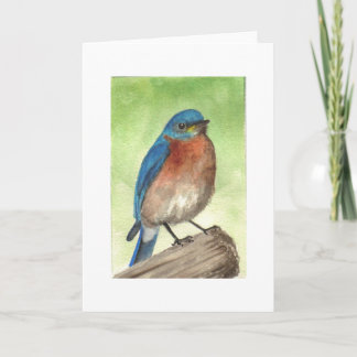 Eastern Bluebird Holiday Card