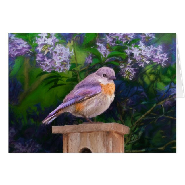Eastern Bluebird in Snow - Original Photograph (Front Horizontal)