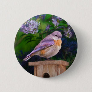 Eastern Bluebird in Snow - Original Photograph 6 Cm Round Badge