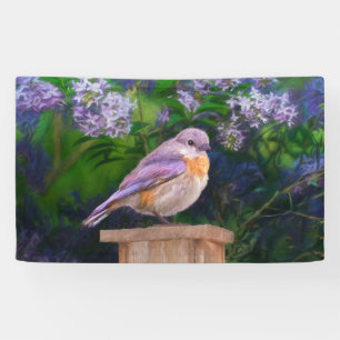 Eastern Bluebird in Snow - Original Photograph Banner
