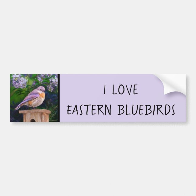 Eastern Bluebird in Snow - Original Photograph Bumper Sticker (Front)