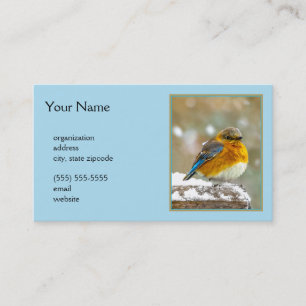 Eastern Bluebird in Snow - Original Photograph Business Card