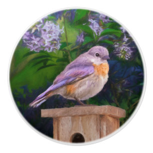 Eastern Bluebird in Snow - Original Photograph Ceramic Knob
