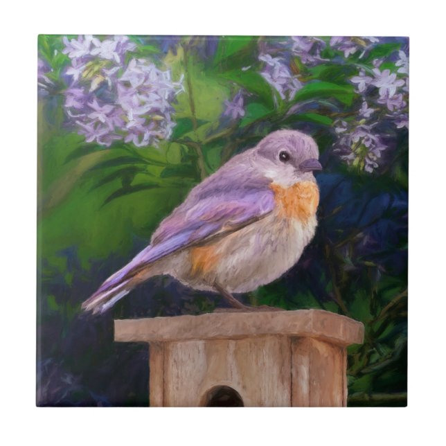 Eastern Bluebird in Snow - Original Photograph Ceramic Tile (Front)
