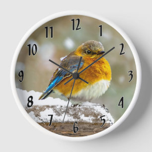 Eastern Bluebird in Snow - Original Photograph Clock