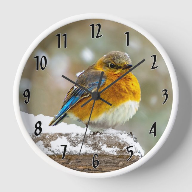 Eastern Bluebird in Snow - Original Photograph Clock (Front)