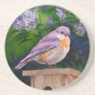 Eastern Bluebird in Snow - Original Photograph Coaster