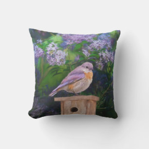 Eastern Bluebird in Snow - Original Photograph Cushion