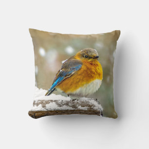 Eastern Bluebird in Snow - Original Photograph Cushion