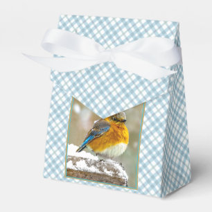 Eastern Bluebird in Snow - Original Photograph Favour Box