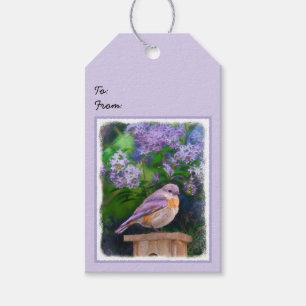 Eastern Bluebird in Snow - Original Photograph Gift Tags
