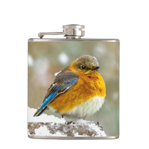 Eastern Bluebird in Snow - Original Photograph Hip Flask