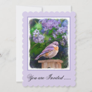 Eastern Bluebird in Snow - Original Photograph Invitation