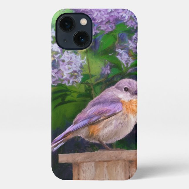 Eastern Bluebird in Snow - Original Photograph iPhone Case (Back)