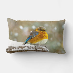Eastern Bluebird in Snow - Original Photograph Lumbar Cushion