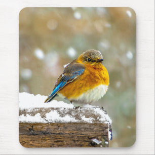 Eastern Bluebird in Snow - Original Photograph Mouse Pad