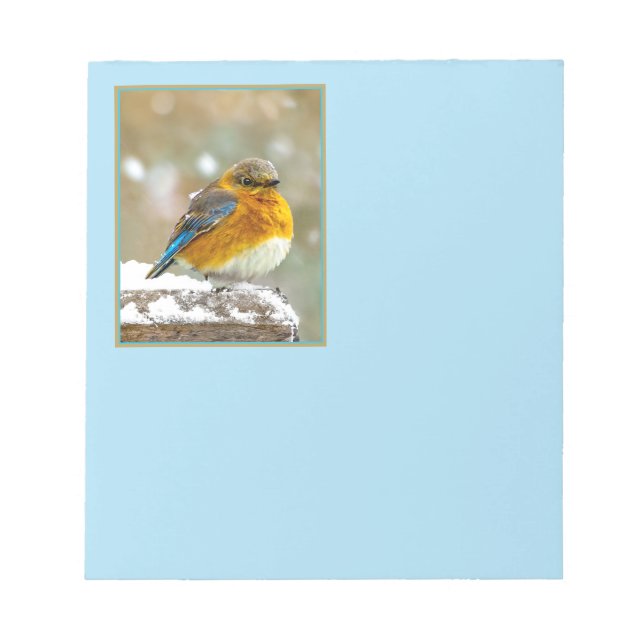 Eastern Bluebird in Snow - Original Photograph Notepad (Front)