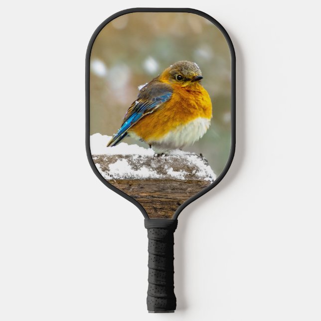 Eastern Bluebird in Snow - Original Photograph Pickleball Paddle (Front)