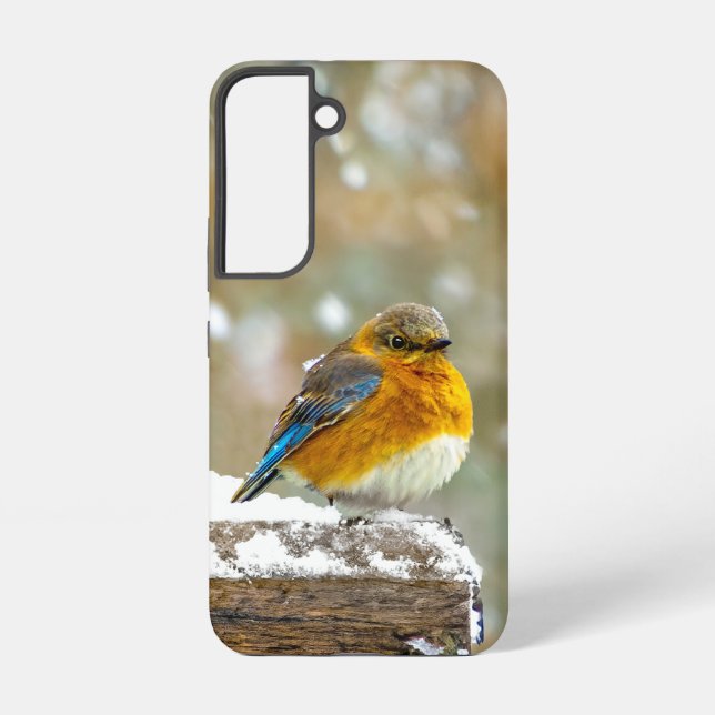 Eastern Bluebird in Snow - Original Photograph Samsung Galaxy S22 Case (Back)