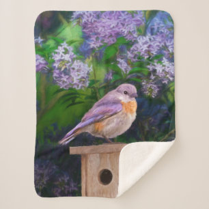 Eastern Bluebird in Snow - Original Photograph Sherpa Blanket