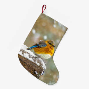 Eastern Bluebird in Snow - Original Photograph Small Christmas Stocking