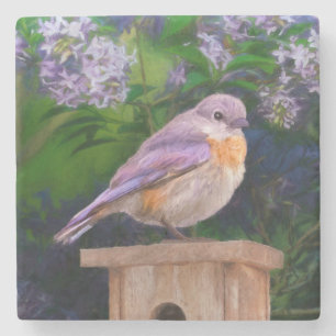 Eastern Bluebird in Snow - Original Photograph Stone Coaster