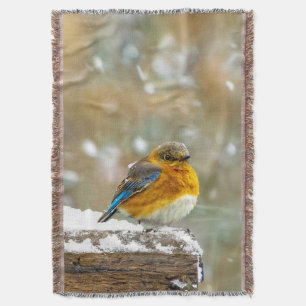 Eastern Bluebird in Snow - Original Photograph Throw Blanket