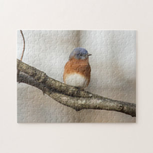 Eastern Bluebird Jigsaw Puzzle
