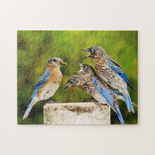 Eastern Bluebird Jigsaw Puzzle